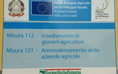 Il contributo delle istituzioni