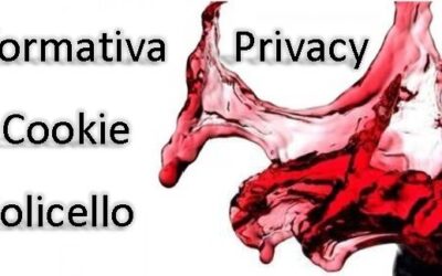 Informativa Privacy