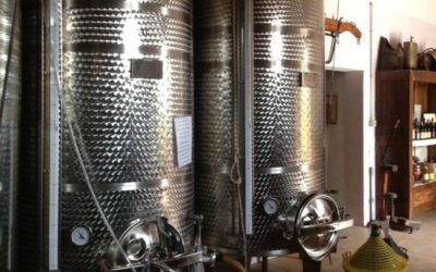 Vino sfuso