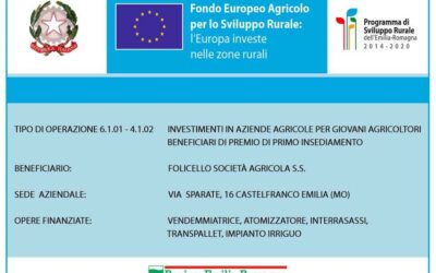 Contributo del FEASR