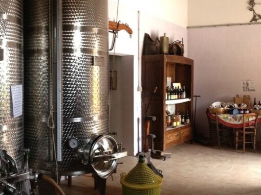 benvenuti-in-cantina-1500x630