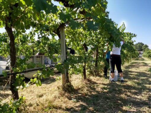 imgi_30_IMG_20170821_105633307_HDR-1030x579